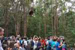 Orangutan Tanjung Puting 4D3N